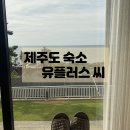 유플러스 씨 이미지