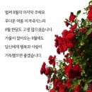 수요일 이미지