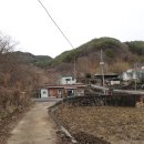 관점경로당 Daum카페