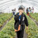 연경 강인태권도장 이미지