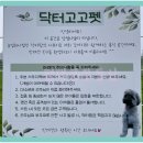 고고펫 이미지