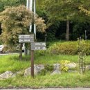 학생 전희 효자비 이미지