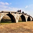 미내다리 이미지