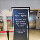 동대문 애슐리퀸즈 딸기축제 방문 다소 실망스러웠던 후기