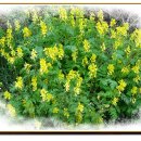 남양2리 이미지