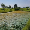 곡성-197 이미지