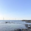 씨유 혼저옵서예점 이미지