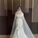 [예신의 결혼준비기] 제9편 본식 드레스 셀렉 후기 “드벨르마리에“