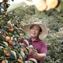 매남이길 이미지