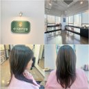 모전로 | 정관 모전리 미용실 추천 언니네미장원 매직셋팅 C컬펌 후기 (크리닉 50% 할인 꿀팁까지)