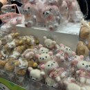 롯데백화점 창원점 | 롯데백화점영플라자 창원점 리락쿠마 팝업 방문 후기 🎀(전상품 사진 포함)