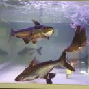 동탄산단스타공인중개사사무소 이미지