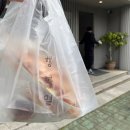 [제주/삼도일동]제주 빵지순례코스 솔직후기 제주 행복밀 / 내돈내산