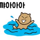나노셀프세차장 이미지