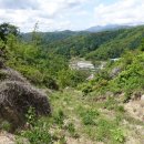 구산목장 Daum카페