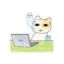 타이완소야진진