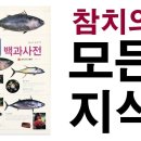 일식요리 스시야 의 핵심 생선! 참치백과사전! 참치(다랑어, 새치)의 모든것을 알려드립니다! 일식조리기술원 구독자 14만명 이미지