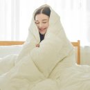 가든세탁 이미지