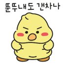 포천정육