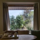 표선여가 이미지