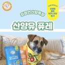 최정언산양목장 이미지