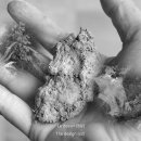 메모리실버 이미지