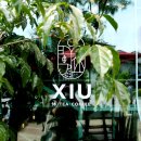 인덕원역카페 차 한 잔의 여유로움을 느낄 수 있는 포일동카페 시우 休:XIU