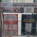 도그마캣일광
