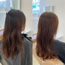 성수샤인한의원 | [성수/뚝섬역] 염색 맛집 성수미용실 뚝섬역미용실 '에르아룸 성수본점' 톤업 염색 리뷰 후기
