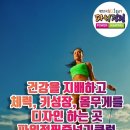 뿜뿜점핑다이어트클럽