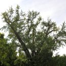 산북천 | 익산 성당포구 - 금강변 포구마을의 정취를 따라