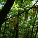 국수봉 정상 이미지