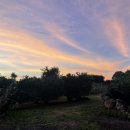 하귤낭하우스 이미지