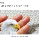 [친구의 간증후기][정착템-핸드크림] ‘카밀 핸드앤네일 클래식’ 생생후기(사진&amp;카톡)