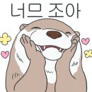한켈 이미지