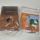 마음을 위로하는 소리 칼림바 | 삼익 칼림바 고래 내돈내산 초등학생 악기 추천 성인 취