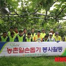 배봉사 이미지
