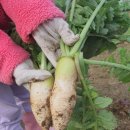 무수농장 이미지