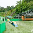 푸른애견 티스토리