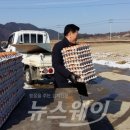 귀평 이미지