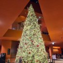 느린우체통 | 남한산성 대형카페 스코그 크리스마스트리 느린 우체통 후기