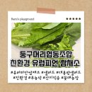 반희담협동조합 | [둥구머리협동조합] 건강한 한 끼를 위한 친환경 유럽피언 쌈채소 1kg