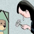 개팔자 상팔자 이미지