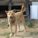 참진축산 이미지