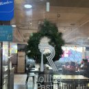 롤링파스타 범계역점 | 범계 롤링파스타 가성비 양식 맛집 내돈내산 후기