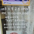 초이카롱 네이버블로그