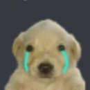 서구-02-49 | 25/11/02 죽어가는내블로그살리기