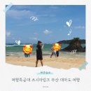 더원결혼정보주식회사 | 부산에서 일본 대마도여행 여행특공대 대마도패키지 쓰시마링크 배 예약
