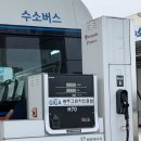 2025.6.9 - 뭐 맨날 먹기만 하는 거 같은데 사실입니다