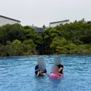 남해바다리조트 | 남해 가족들이랑 가기 좋은 『 남해 아난티 』 리조트 솔직후기